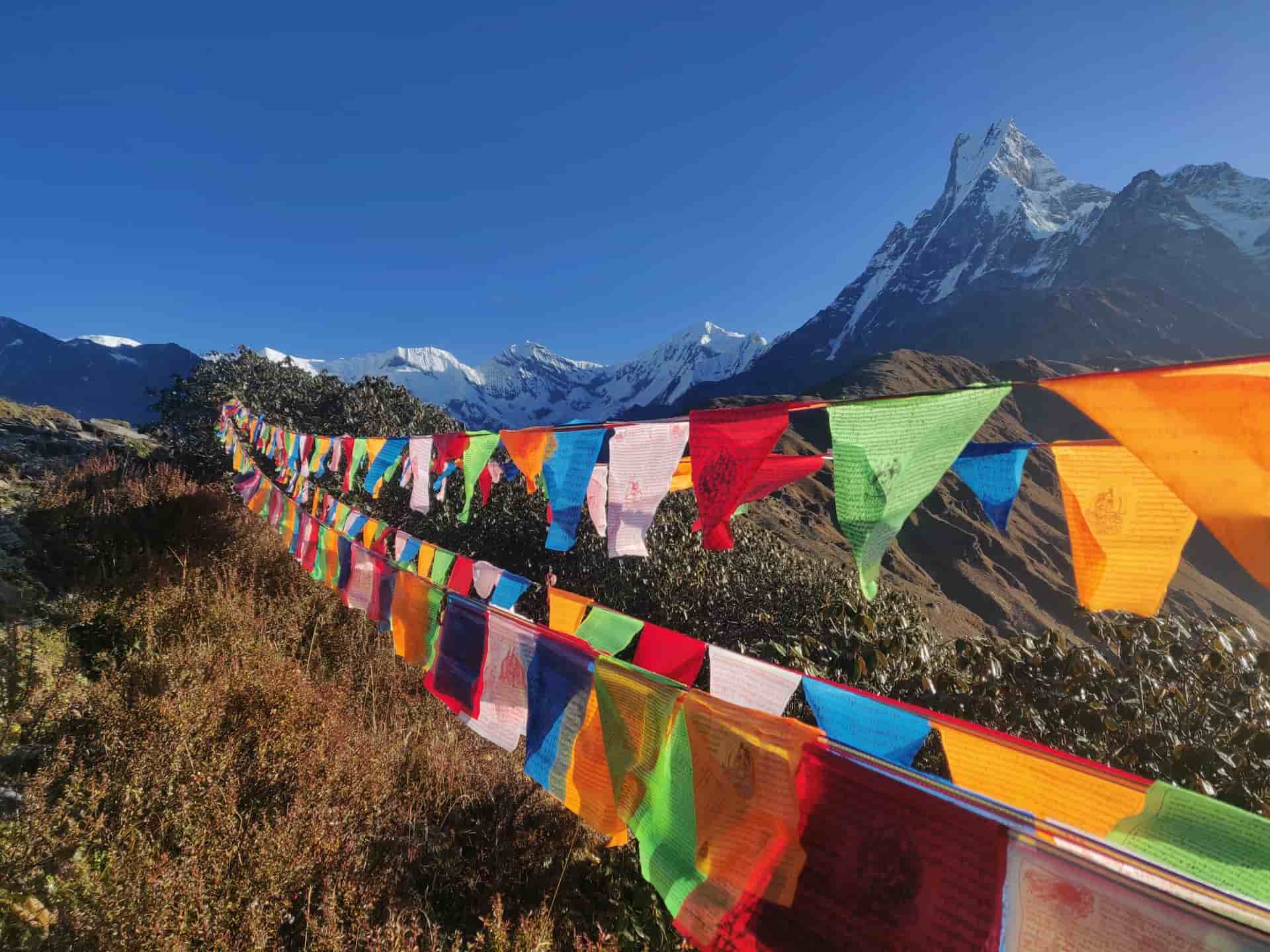 Reaching New Heights: Serene Landscapes on the Mardi Himal Trek